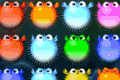 blow fish